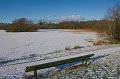 10. Foolish footsteps on Hollywood lake